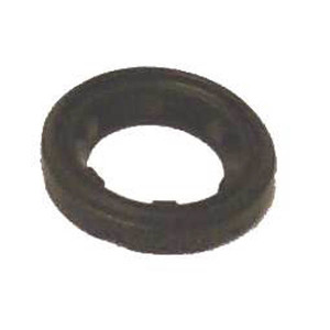 Sierra Thermostat Seal
